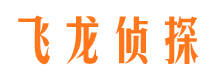 汾阳资产调查